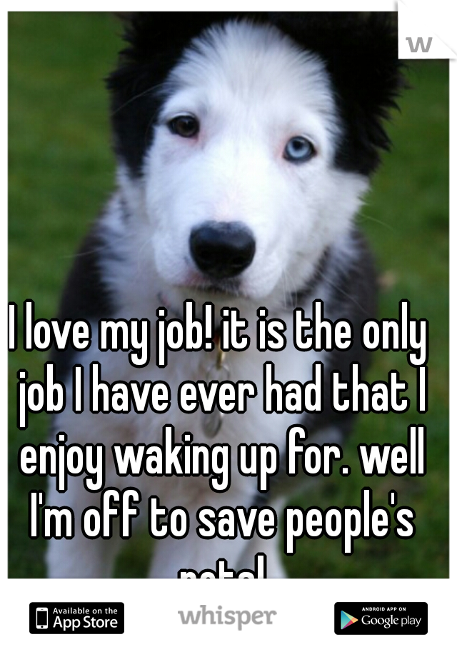 I love my job! it is the only job I have ever had that I enjoy waking up for. well I'm off to save people's pets!
