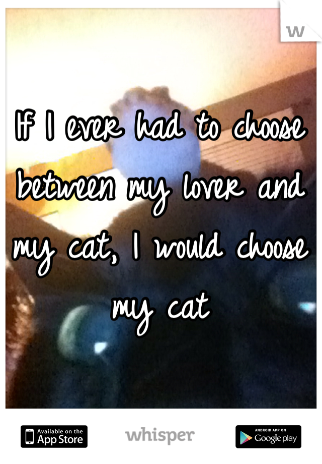 If I ever had to choose between my lover and my cat, I would choose my cat