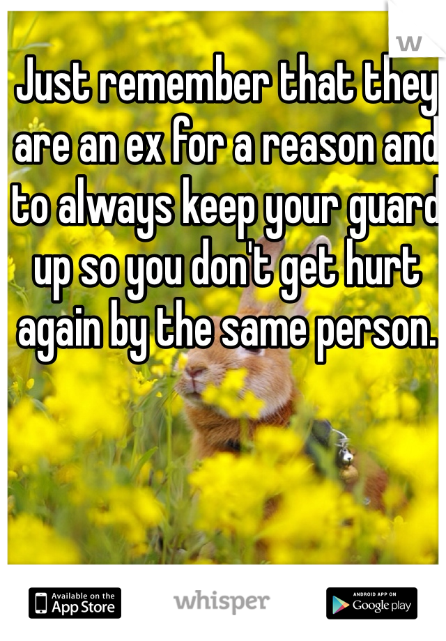 Just remember that they are an ex for a reason and to always keep your guard up so you don't get hurt again by the same person.