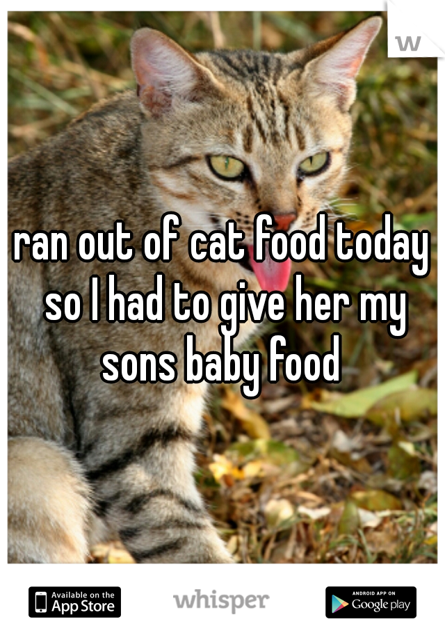 ran out of cat food today so I had to give her my sons baby food 