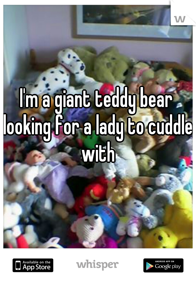 I'm a giant teddy bear looking for a lady to cuddle with