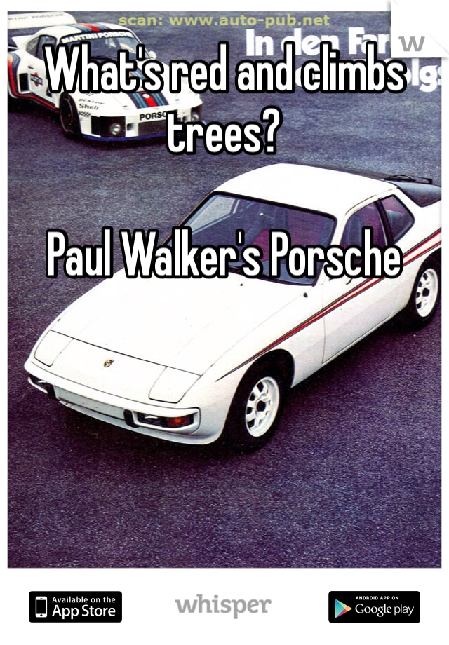 What's red and climbs trees?

Paul Walker's Porsche