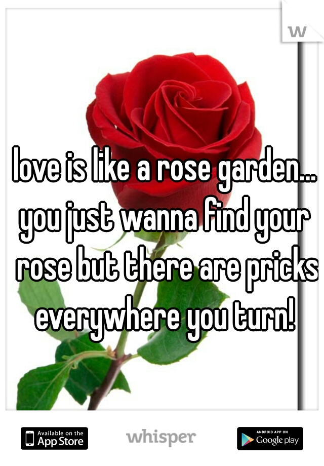 love is like a rose garden...
you just wanna find your rose but there are pricks everywhere you turn! 
