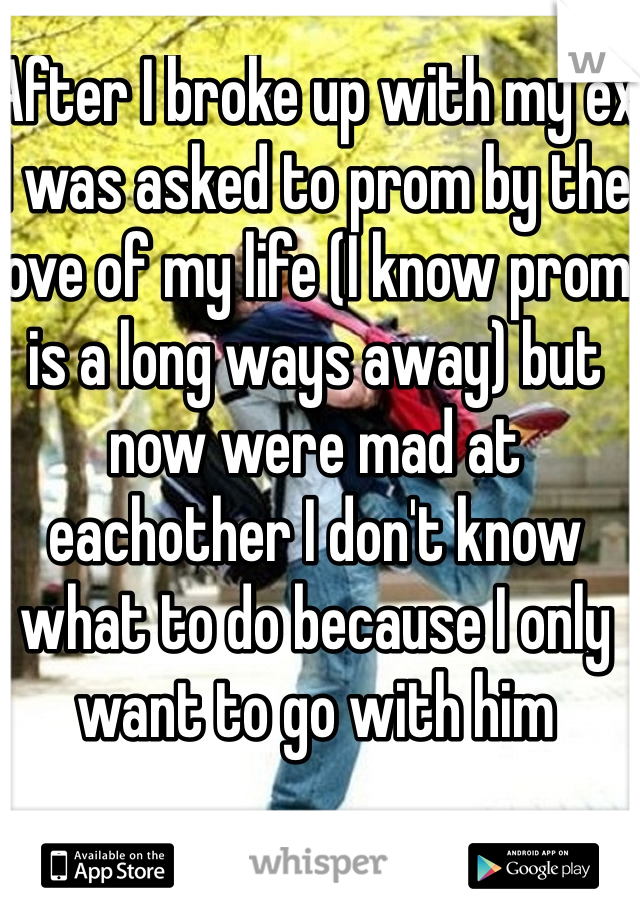 After I broke up with my ex I was asked to prom by the love of my life (I know prom is a long ways away) but now were mad at eachother I don't know what to do because I only want to go with him 