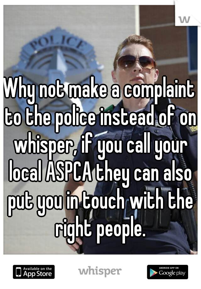 Why not make a complaint to the police instead of on whisper, if you call your local ASPCA they can also put you in touch with the right people.