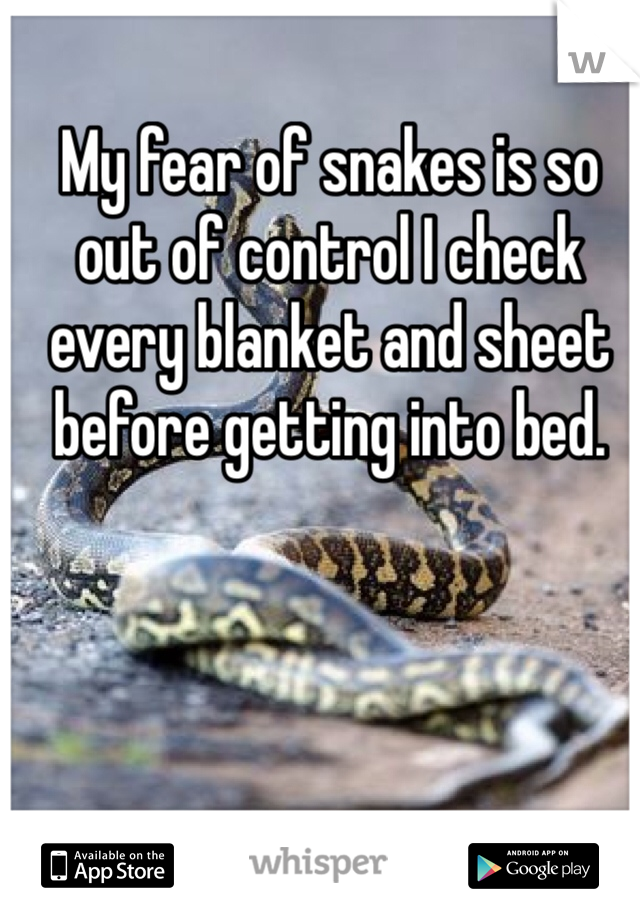 My fear of snakes is so out of control I check every blanket and sheet before getting into bed. 