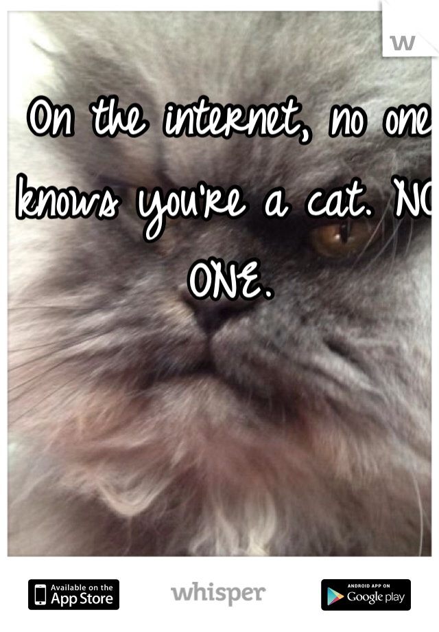 On the internet, no one knows you're a cat. NO ONE.
