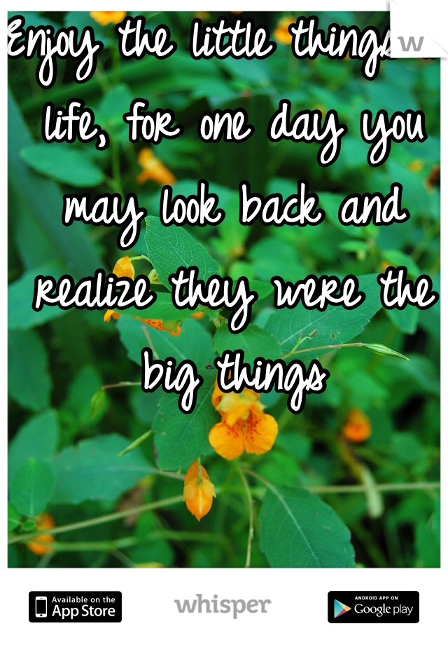Enjoy the little things in life, for one day you may look back and realize they were the big things