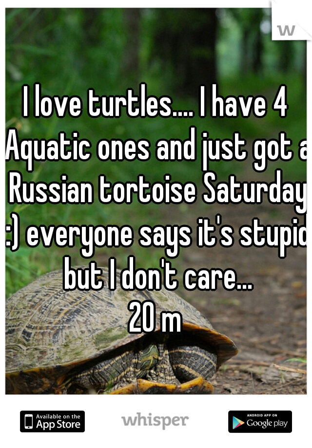 I love turtles.... I have 4 Aquatic ones and just got a Russian tortoise Saturday :) everyone says it's stupid but I don't care...
20 m