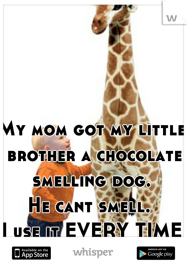 My mom got my little brother a chocolate smelling dog. 
He cant smell. 
I use it EVERY TIME I stay the night.... 