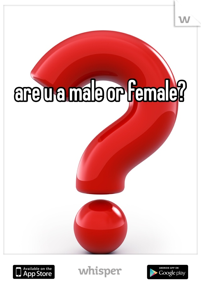 are u a male or female?