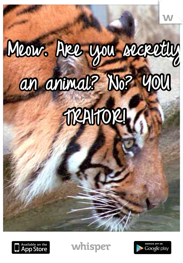 Meow. Are you secretly an animal? No? YOU TRAITOR!