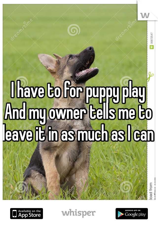 I have to for puppy play
And my owner tells me to leave it in as much as I can 