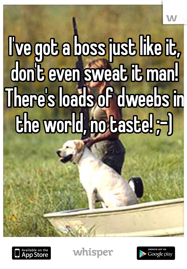 I've got a boss just like it, don't even sweat it man! There's loads of dweebs in the world, no taste! ;-)