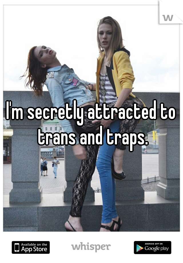 I'm secretly attracted to trans and traps.