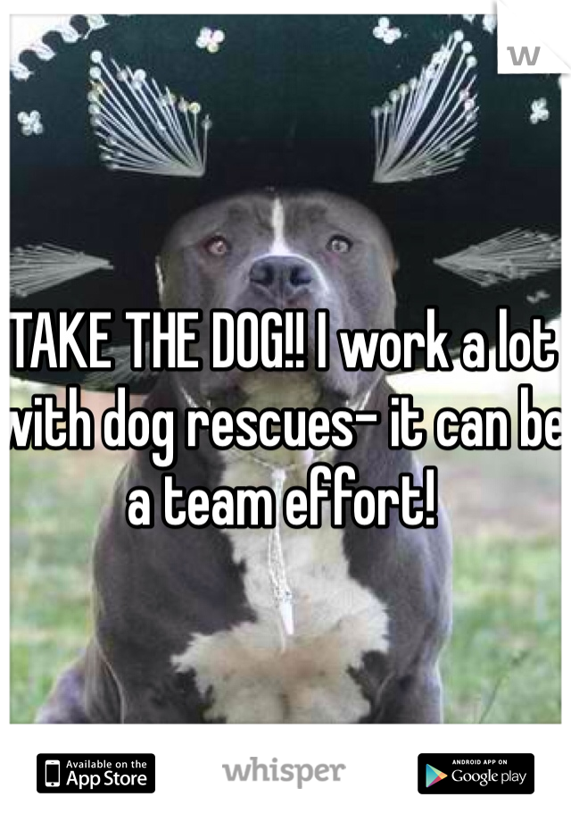 TAKE THE DOG!! I work a lot with dog rescues- it can be a team effort!