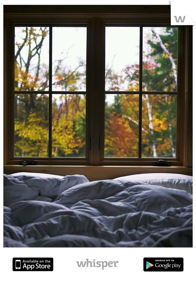 I love laying in bed on a cold day.. 