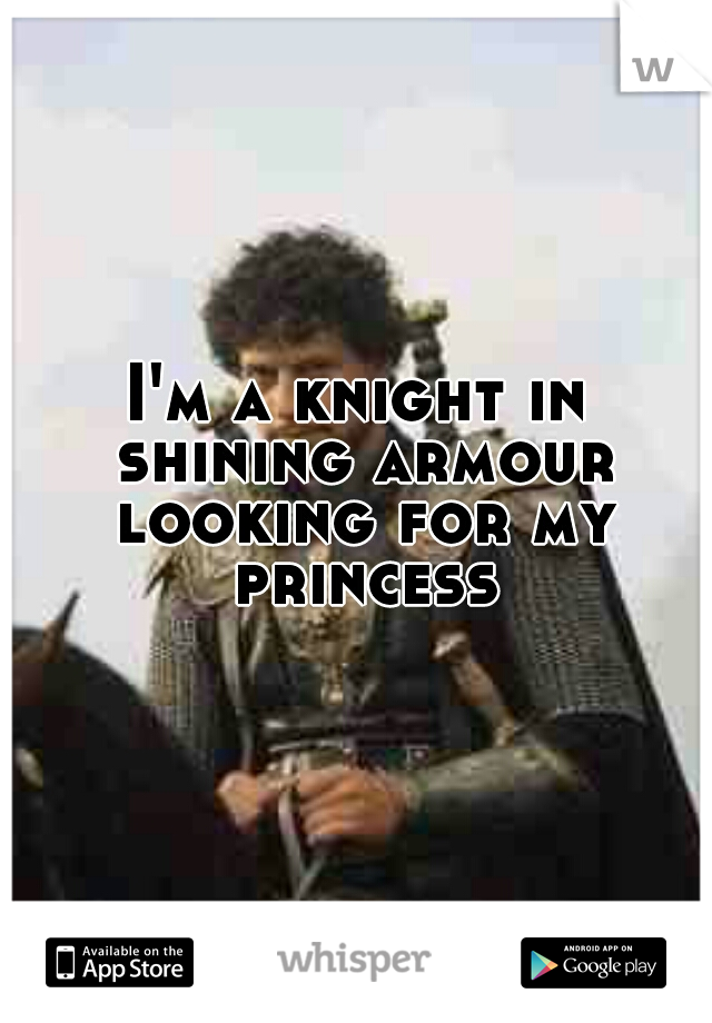 I'm a knight in shining armour looking for my princess