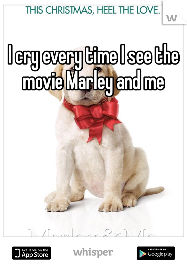 I cry every time I see the movie Marley and me