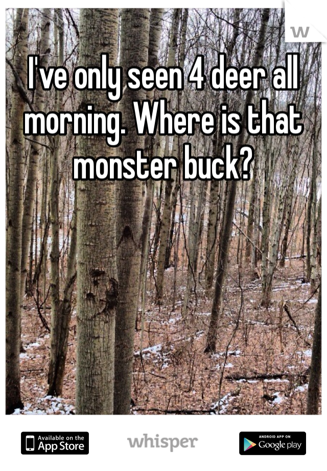I've only seen 4 deer all morning. Where is that monster buck?