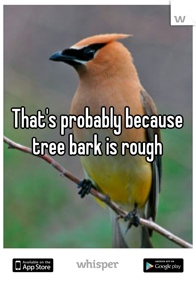 That's probably because tree bark is rough 