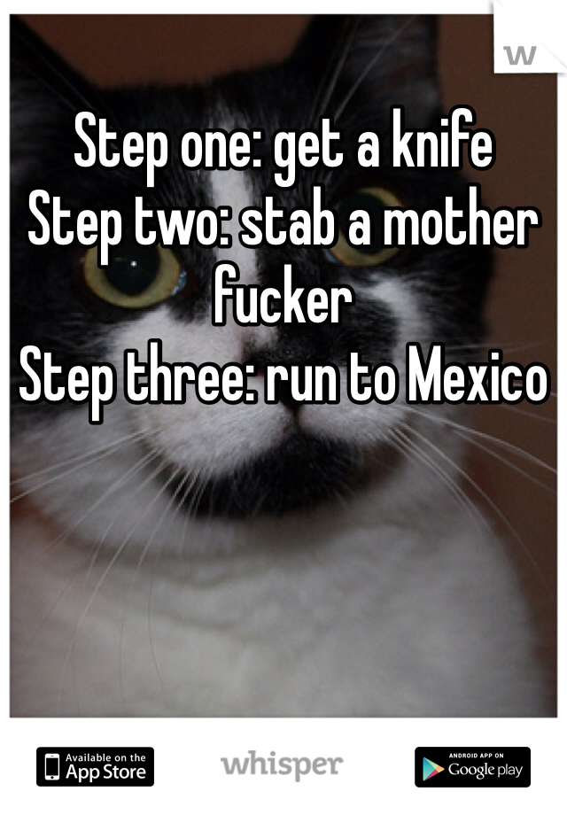 Step one: get a knife 
Step two: stab a mother fucker 
Step three: run to Mexico 