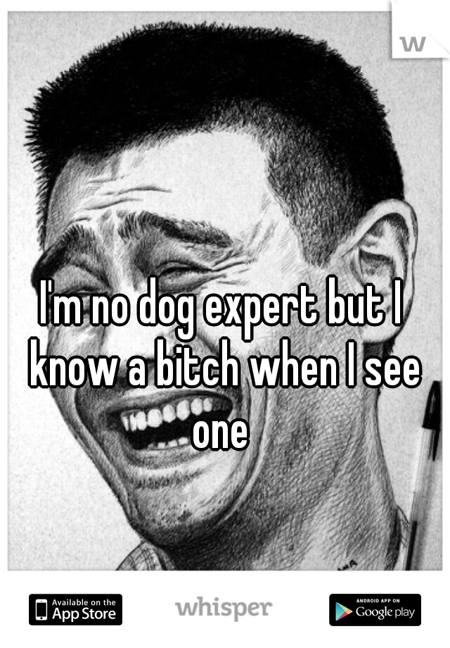 I'm no dog expert but I know a bitch when I see one 