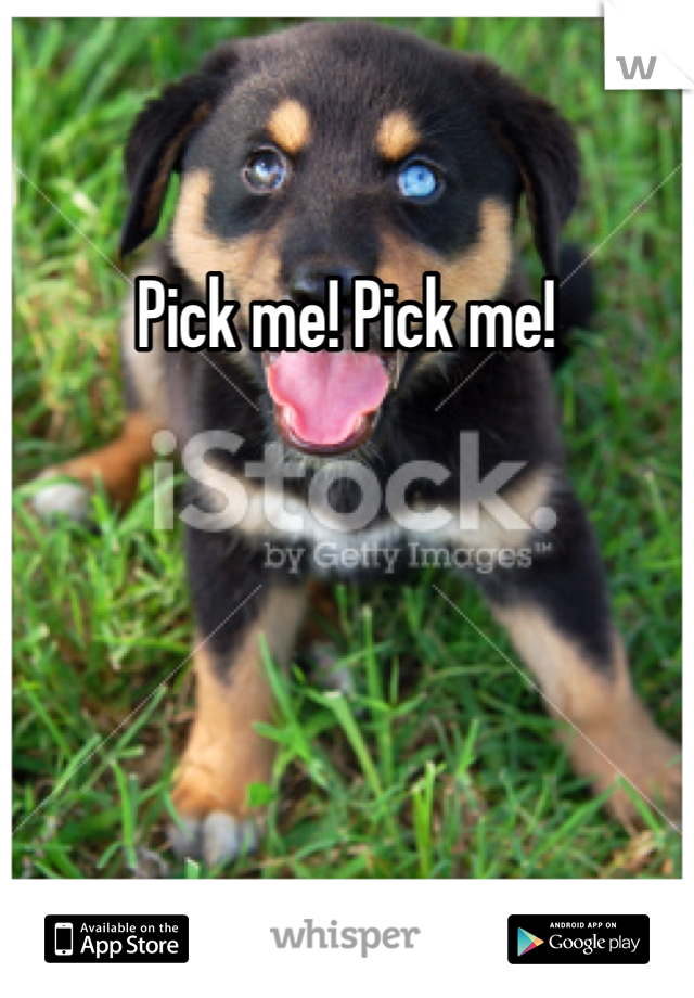 Pick me! Pick me!