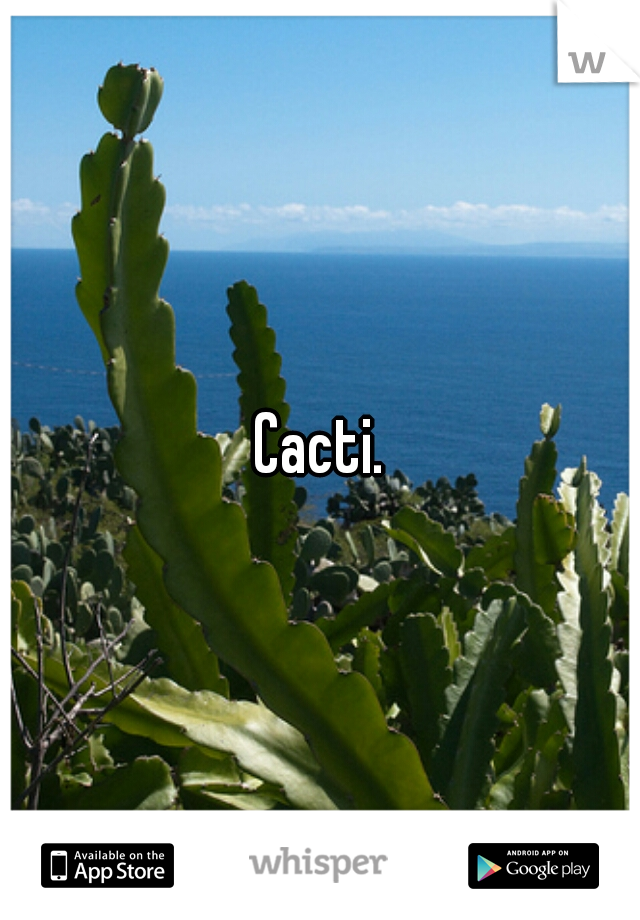 Cacti.