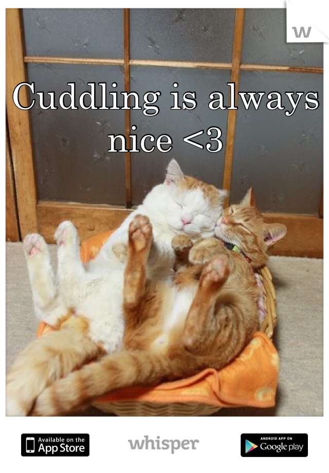 Cuddling is always nice <3 
