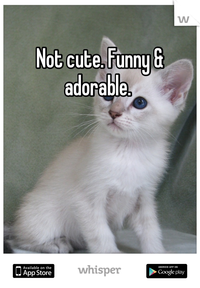 Not cute. Funny & adorable. 