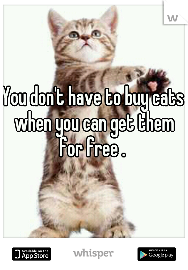 You don't have to buy cats when you can get them for free . 