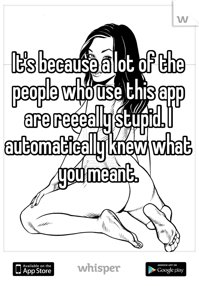 It's because a lot of the people who use this app are reeeally stupid. I automatically knew what you meant. 