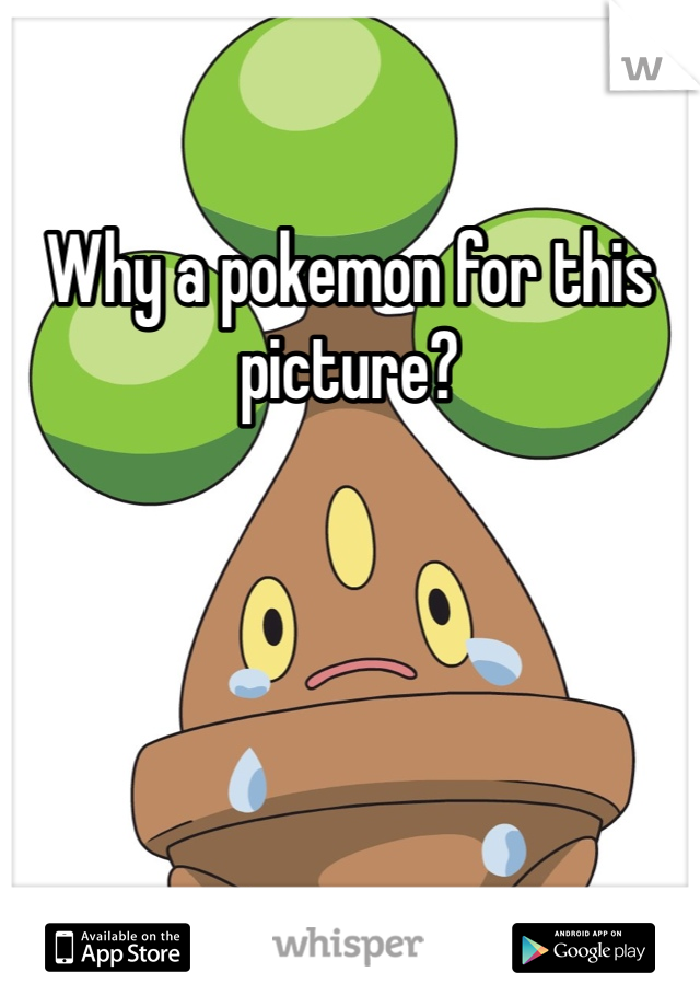 Why a pokemon for this picture? 