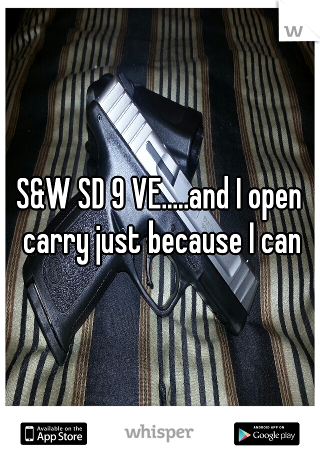 S&W SD 9 VE.....and I open carry just because I can