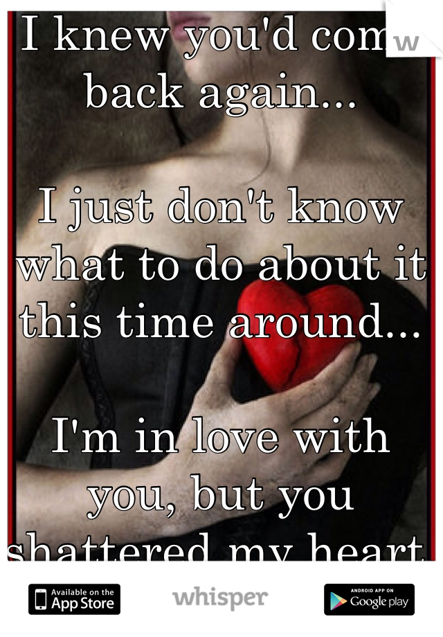 I knew you'd come back again...

I just don't know what to do about it this time around...

I'm in love with you, but you shattered my heart.