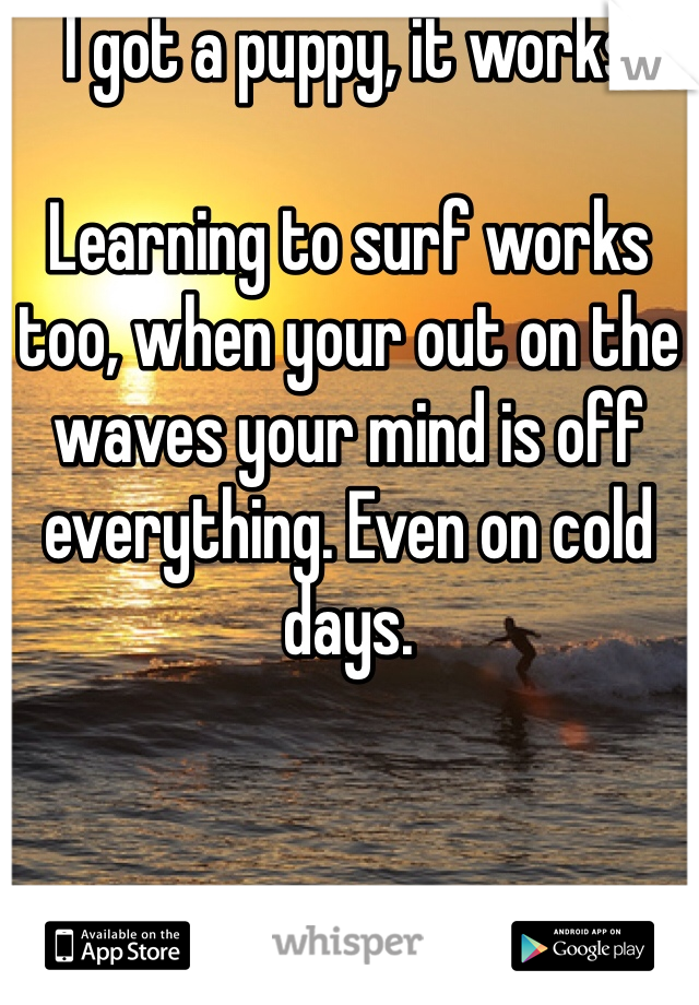 I got a puppy, it works

Learning to surf works too, when your out on the waves your mind is off everything. Even on cold days. 