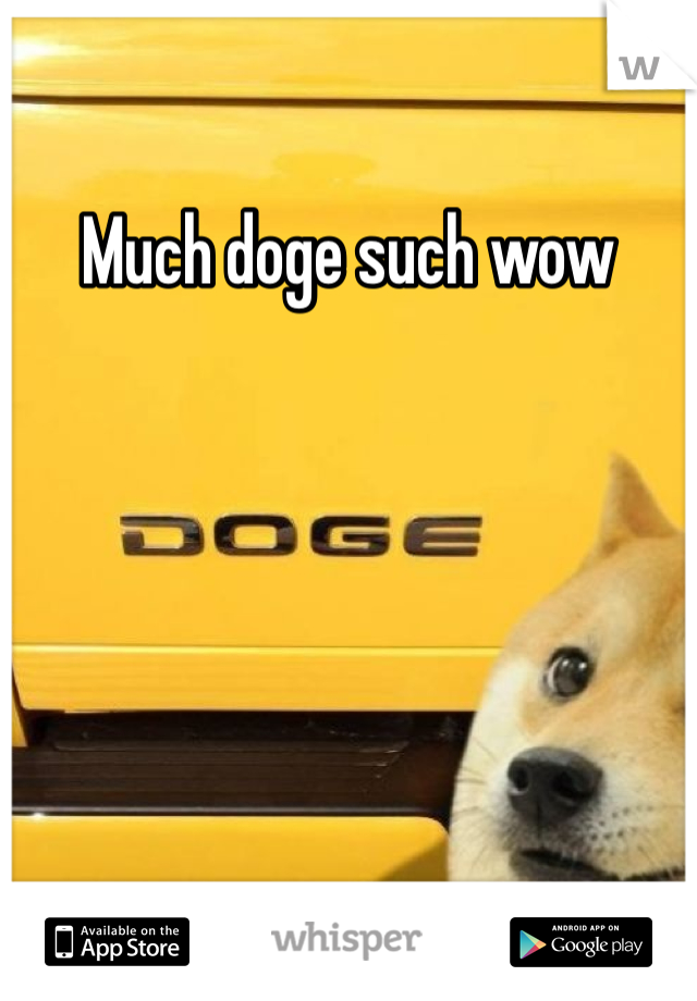 Much doge such wow