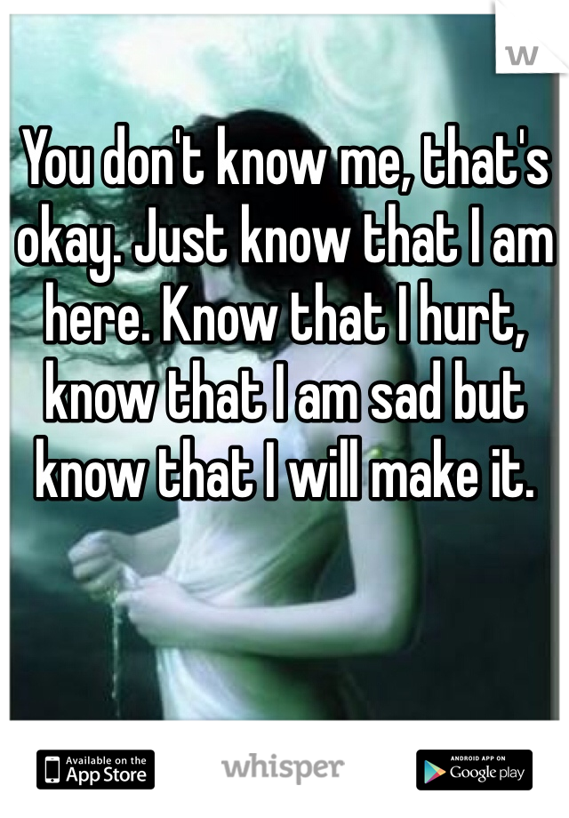 You don't know me, that's okay. Just know that I am here. Know that I hurt, know that I am sad but know that I will make it. 