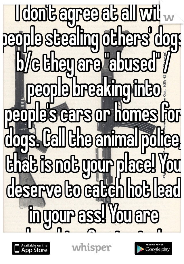 I don't agree at all with people stealing others' dogs b/c they are "abused" / people breaking into people's cars or homes for dogs. Call the animal police, that is not your place! You deserve to catch hot lead in your ass! You are breaking & entering!