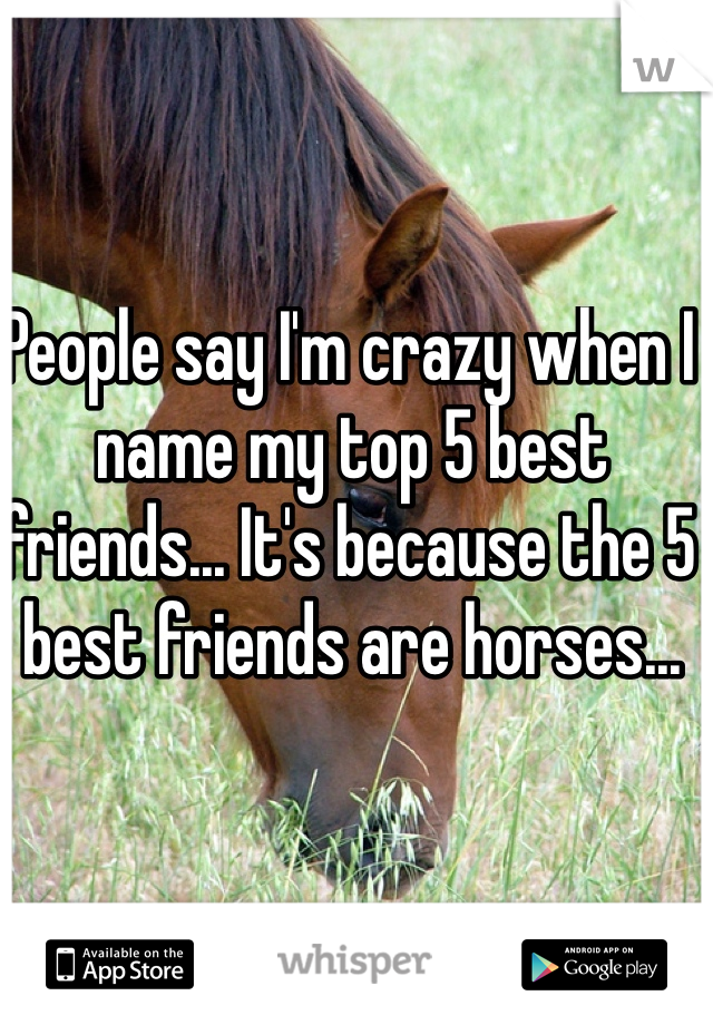 People say I'm crazy when I name my top 5 best friends... It's because the 5 best friends are horses... 