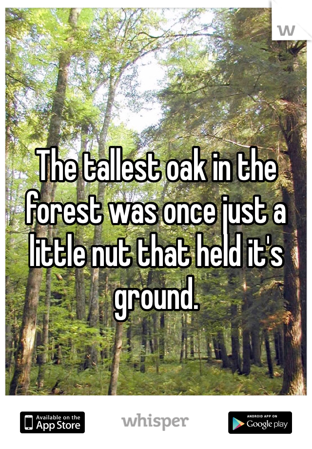 The tallest oak in the forest was once just a little nut that held it's ground. 