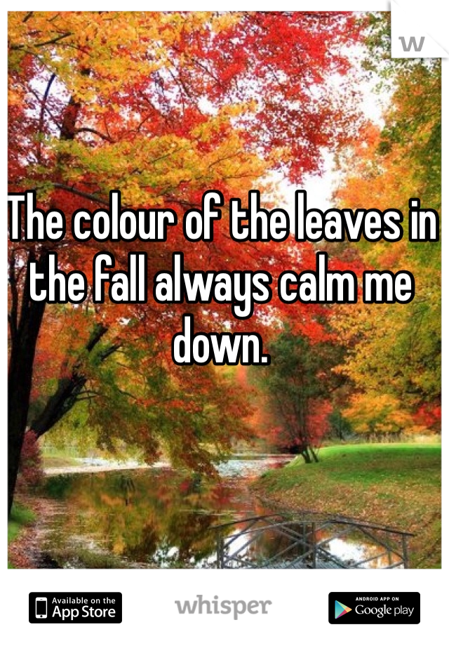 The colour of the leaves in the fall always calm me down. 