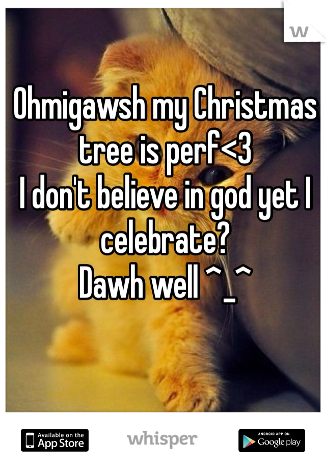 Ohmigawsh my Christmas tree is perf<3
I don't believe in god yet I celebrate?
Dawh well ^_^