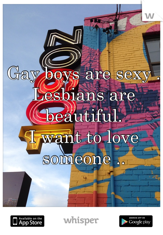 Gay boys are sexy .
Lesbians are beautiful. 
I want to love someone .. 