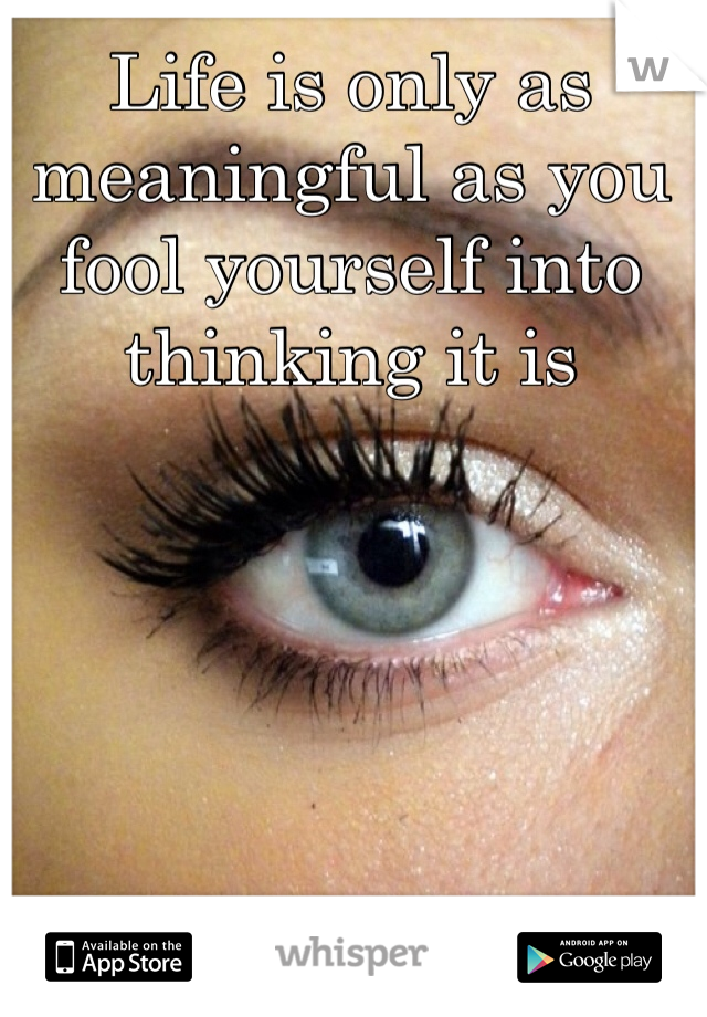 Life is only as meaningful as you fool yourself into thinking it is