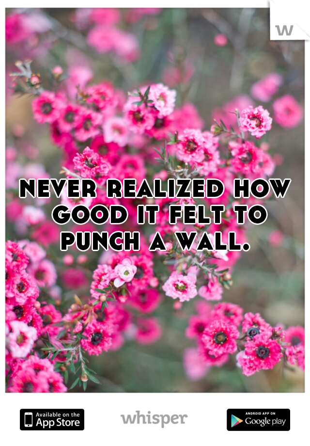 never realized how good it felt to punch a wall. 