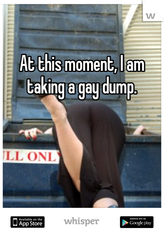 At this moment, I am taking a gay dump.