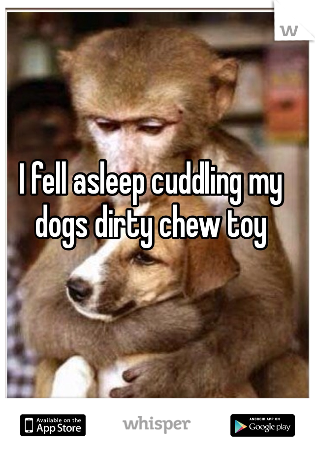 I fell asleep cuddling my dogs dirty chew toy