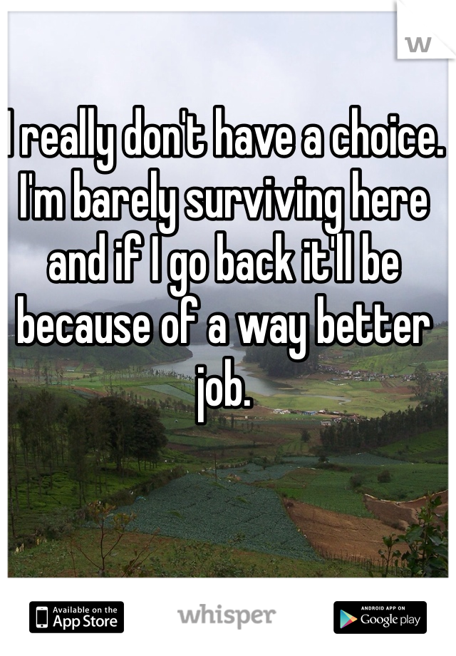 I really don't have a choice. I'm barely surviving here and if I go back it'll be because of a way better job. 